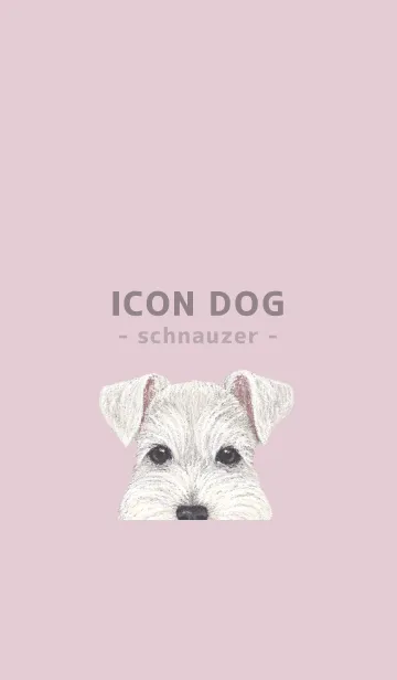 [LINE着せ替え] ICON DOG - シュナウザー - PASTEL PK/02の画像1