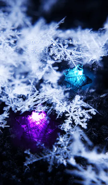 [LINE着せ替え] 雪の結晶と星の光 73の画像1