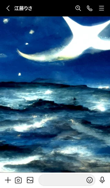 [LINE着せ替え] 夜の月 月の海 #DkBC_a4。の画像2