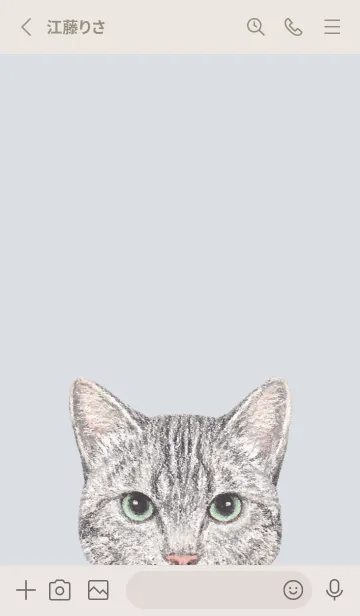 [LINE着せ替え] ICON CAT - ミックス - PASTEL BL/16の画像2