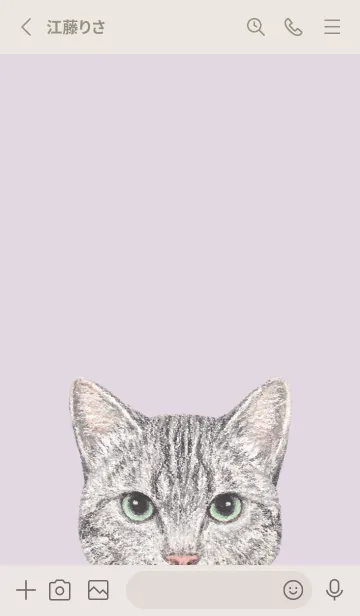 [LINE着せ替え] ICON CAT - ミックス - PASTEL PL/16の画像2