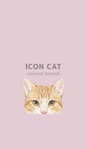 [LINE着せ替え] ICON CAT - ミックス - PASTEL PK/17の画像1