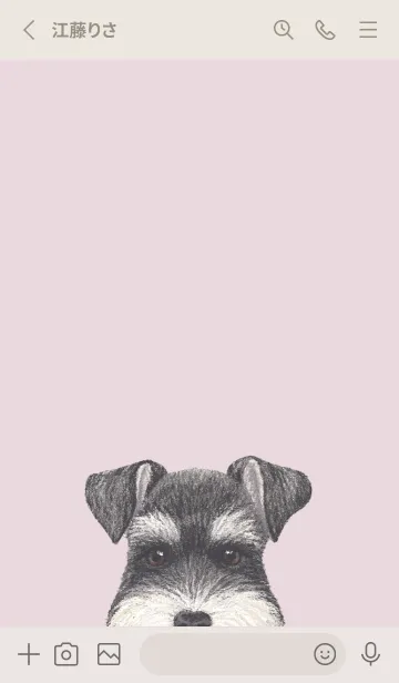 [LINE着せ替え] ICON DOG - シュナウザー - PASTEL PK/03の画像2