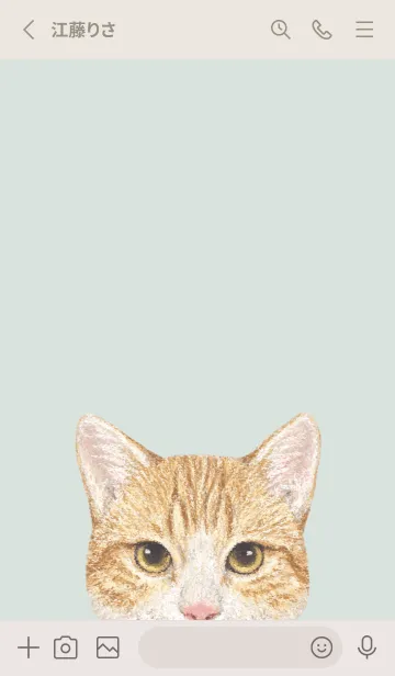[LINE着せ替え] ICON CAT - ミックス - PASTEL GR/17の画像2