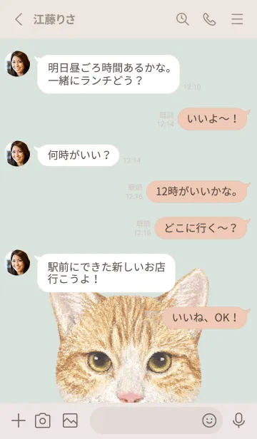 [LINE着せ替え] ICON CAT - ミックス - PASTEL GR/17の画像3