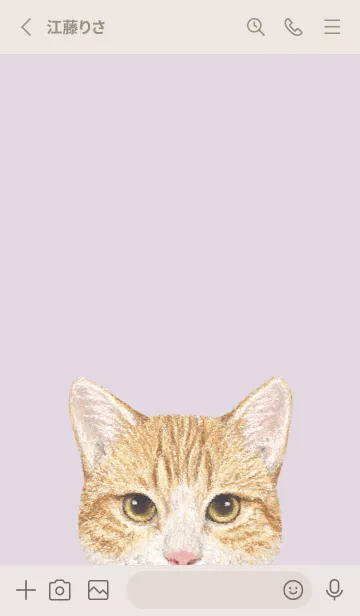 [LINE着せ替え] ICON CAT - ミックス - PASTEL PL/17の画像2