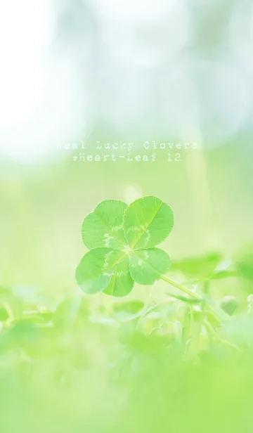 [LINE着せ替え] 本物ラッキークローバーズ #Heart-Leaf 12の画像1