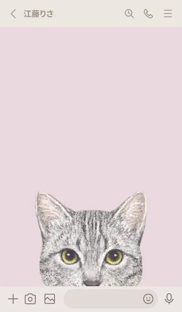 [LINE着せ替え] ICON CAT - ミックス - PASTEL PK/18の画像2