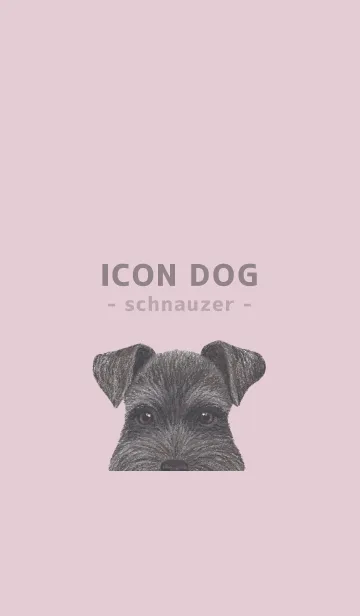 [LINE着せ替え] ICON DOG - シュナウザー - PASTEL PK/04の画像1