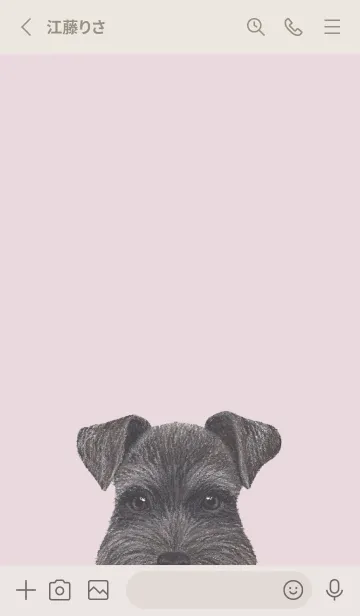 [LINE着せ替え] ICON DOG - シュナウザー - PASTEL PK/04の画像2