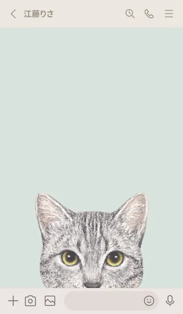 [LINE着せ替え] ICON CAT - ミックス - PASTEL GR/18の画像2