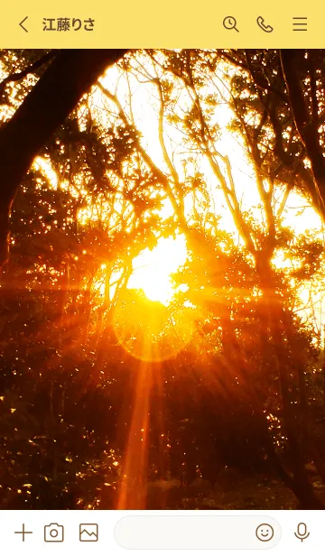 [LINE着せ替え] 夕日の木漏れ日 Sunbeams at Sunset3の画像2