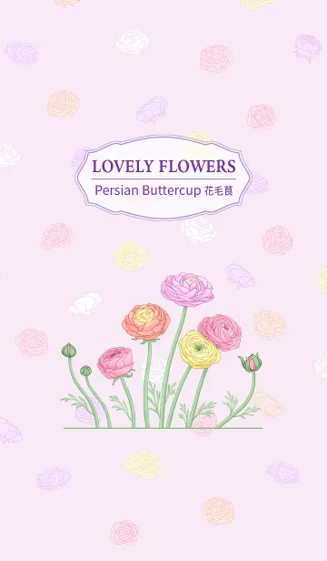 [LINE着せ替え] Lovely flowers * ラナンキュラス 1 *の画像1