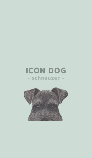 [LINE着せ替え] ICON DOG - シュナウザー - PASTEL GR/04の画像1