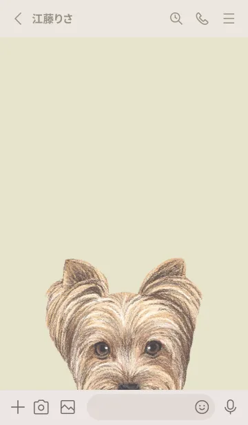 [LINE着せ替え] ICON DOG - ヨークシャーテリア - YE/01の画像2