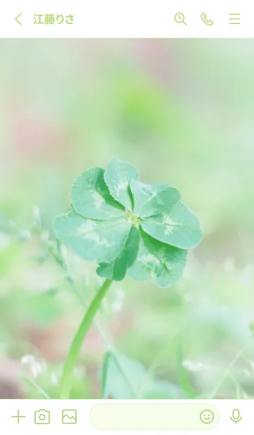 [LINE着せ替え] 無限の幸福 七つ葉のクローバー #29の画像2