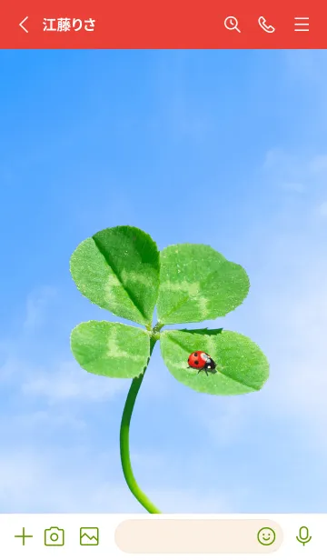 [LINE着せ替え] 四つ葉のクローバーとテントウムシ #3の画像2