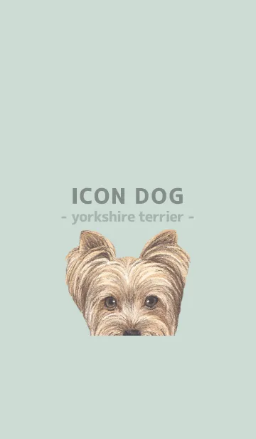 [LINE着せ替え] ICON DOG - ヨークシャーテリア - GR/01の画像1