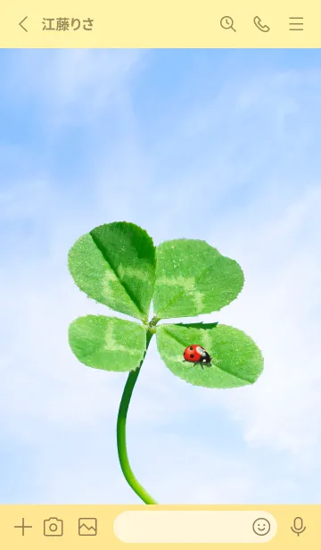[LINE着せ替え] 四つ葉のクローバーとテントウムシ #5の画像2