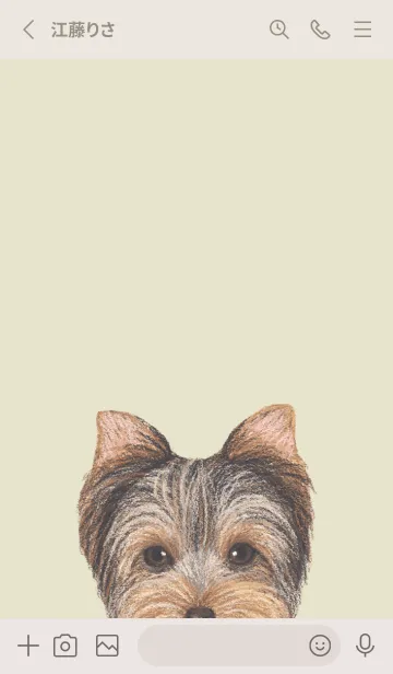 [LINE着せ替え] ICON DOG - ヨークシャーテリア - YE/02の画像2