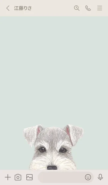 [LINE着せ替え] ICON DOG - シュナウザー - PASTEL GR/05の画像2