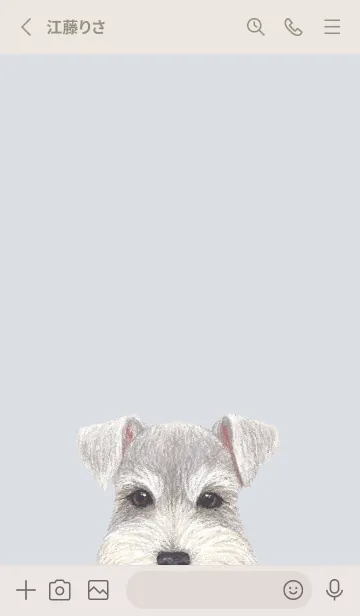 [LINE着せ替え] ICON DOG - シュナウザー - PASTEL BL/05の画像2