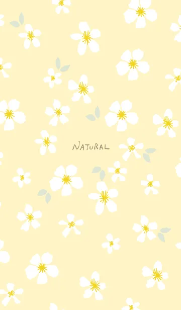 [LINE着せ替え] 白い花 大人カラーの画像1