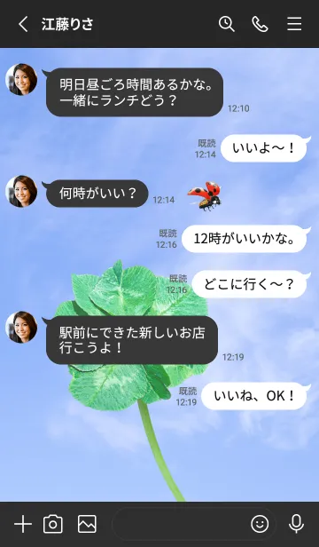 [LINE着せ替え] 七つ葉のクローバーとテントウムシ #5の画像3