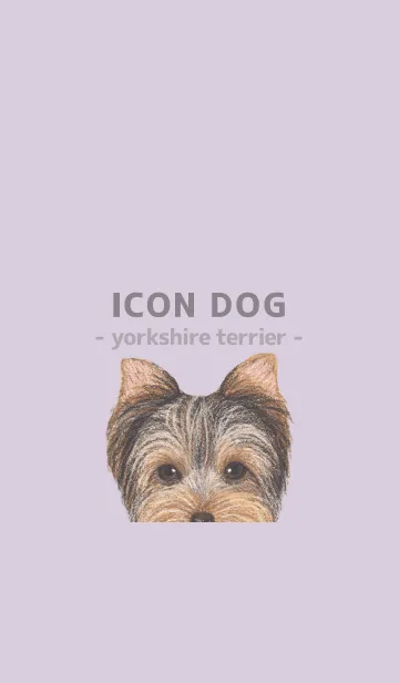 [LINE着せ替え] ICON DOG - ヨークシャーテリア - PL/02の画像1