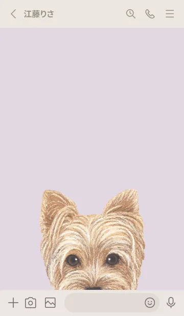 [LINE着せ替え] ICON DOG - ヨークシャーテリア - PL/03の画像2