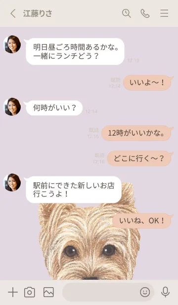 [LINE着せ替え] ICON DOG - ヨークシャーテリア - PL/03の画像3