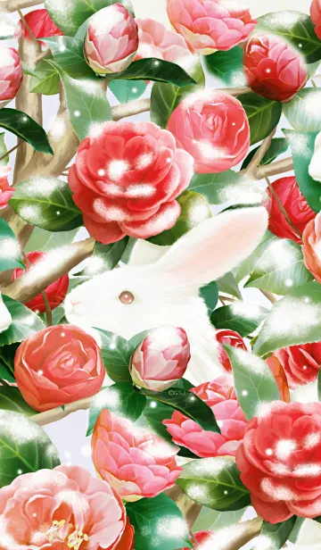 [LINE着せ替え] 冬のうさぎと椿の画像1