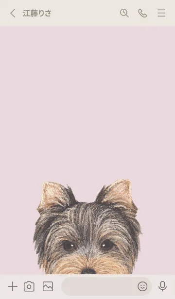 [LINE着せ替え] ICON DOG - ヨークシャーテリア - PK/04の画像2
