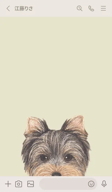 [LINE着せ替え] ICON DOG - ヨークシャーテリア - YE/04の画像2