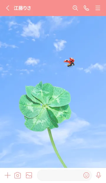 [LINE着せ替え] 七つ葉のクローバーとテントウムシ #7の画像2