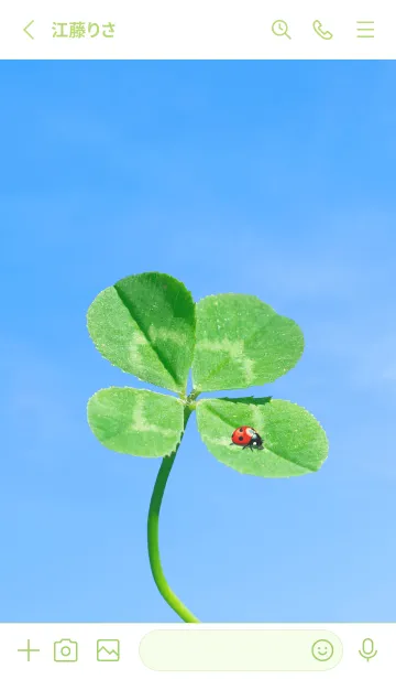 [LINE着せ替え] 四つ葉のクローバーとテントウムシ #8の画像2