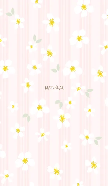 [LINE着せ替え] 白い花 大人カラー14の画像1