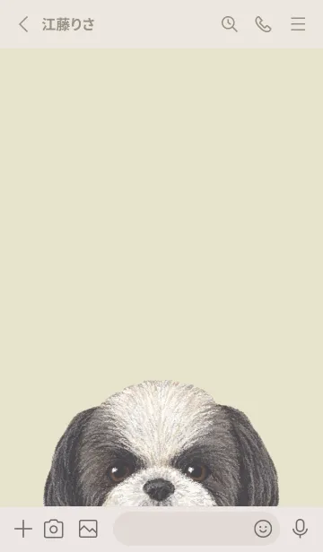 [LINE着せ替え] ICON DOG - シーズー - PASTEL YE/01の画像2