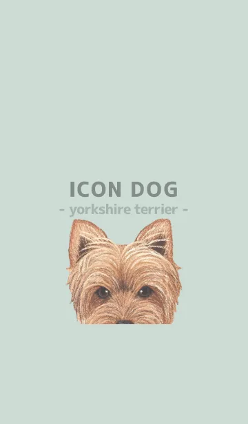 [LINE着せ替え] ICON DOG - ヨークシャーテリア - GR/05の画像1