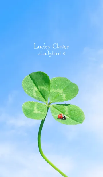 [LINE着せ替え] 四つ葉のクローバーとテントウムシ #9の画像1