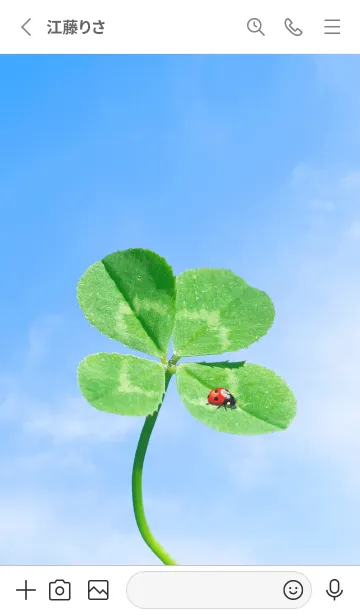 [LINE着せ替え] 四つ葉のクローバーとテントウムシ #9の画像2