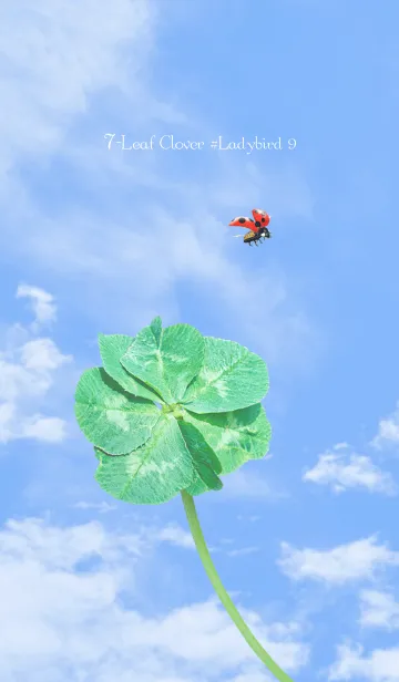 [LINE着せ替え] 七つ葉のクローバーとテントウムシ #9の画像1