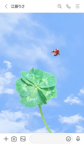 [LINE着せ替え] 七つ葉のクローバーとテントウムシ #9の画像2