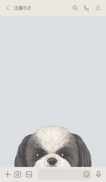 [LINE着せ替え] ICON DOG - シーズー - PASTEL BL/01の画像2