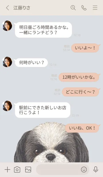 [LINE着せ替え] ICON DOG - シーズー - PASTEL BL/01の画像3