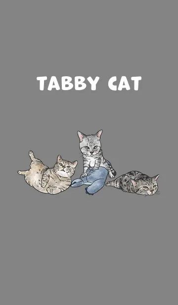 [LINE着せ替え] tabbycat5 / dark grey .jpの画像1