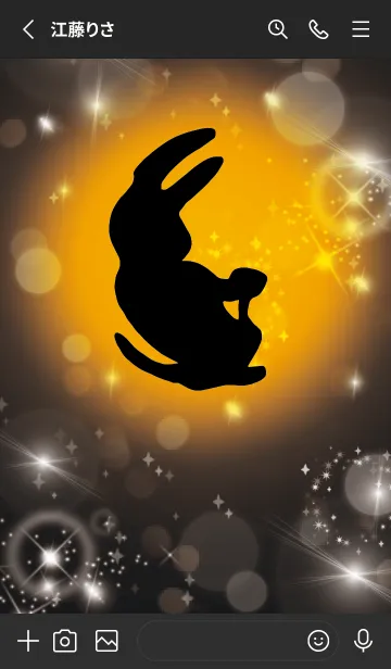 [LINE着せ替え] 黒 : 2023年金運UP！ うさぎ年の画像2