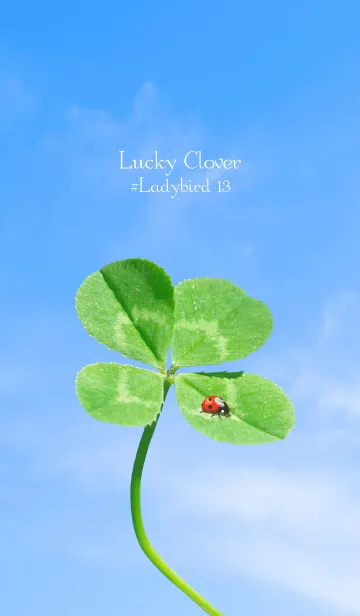 [LINE着せ替え] 四つ葉のクローバーとテントウムシ #13の画像1