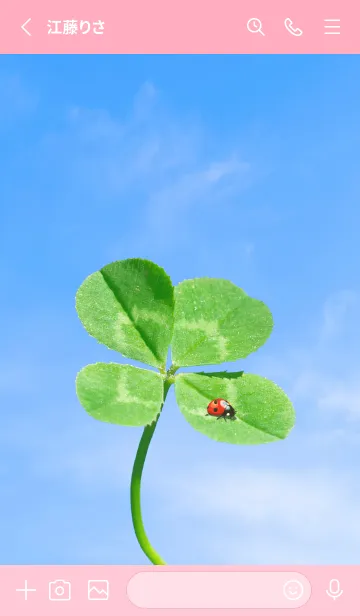 [LINE着せ替え] 四つ葉のクローバーとテントウムシ #13の画像2