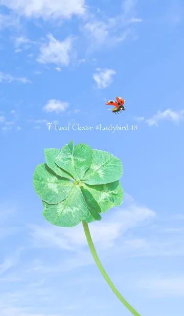 [LINE着せ替え] 七つ葉のクローバーとテントウムシ #13の画像1